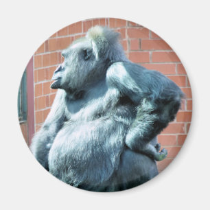 GORILLAS MAGNET