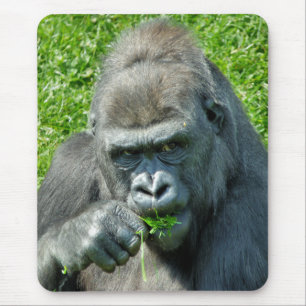GORILLAS MOUSE PAD