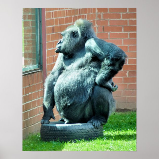 GORILLAS POSTER (Front)