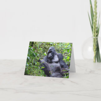 Gorillas- Rwanda Card