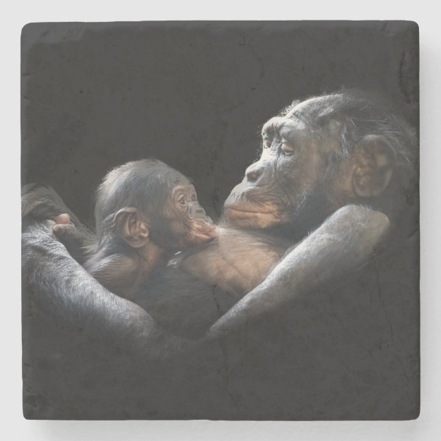 Gorillas Stone Coaster (Front)