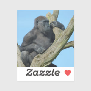 Gorilla's Tranquil Tree Perch