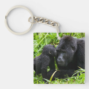 Gorille des montagnes bébé embrasse un gorille dos