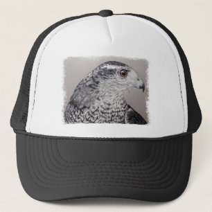 Goshawk Cap