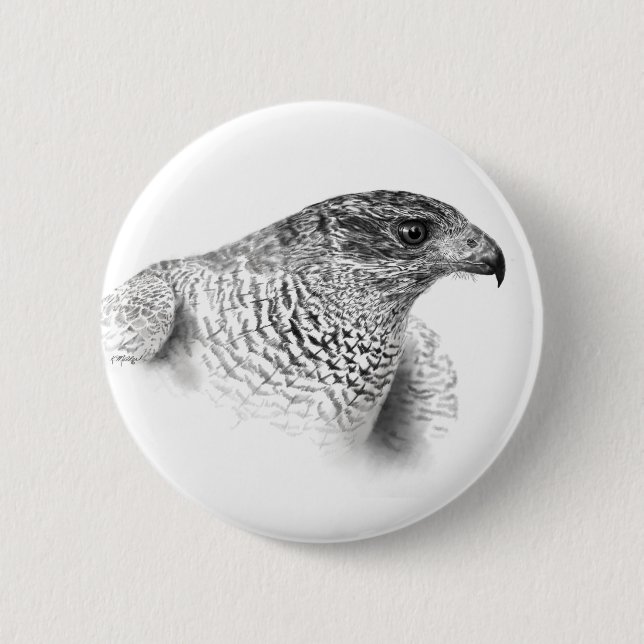 Goshawk Drawing 2 Inch Round Button (Front)