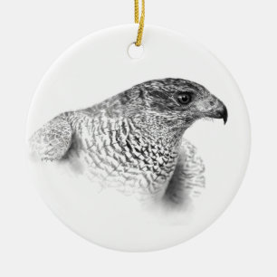 Goshawk Drawing Ceramic Ornament