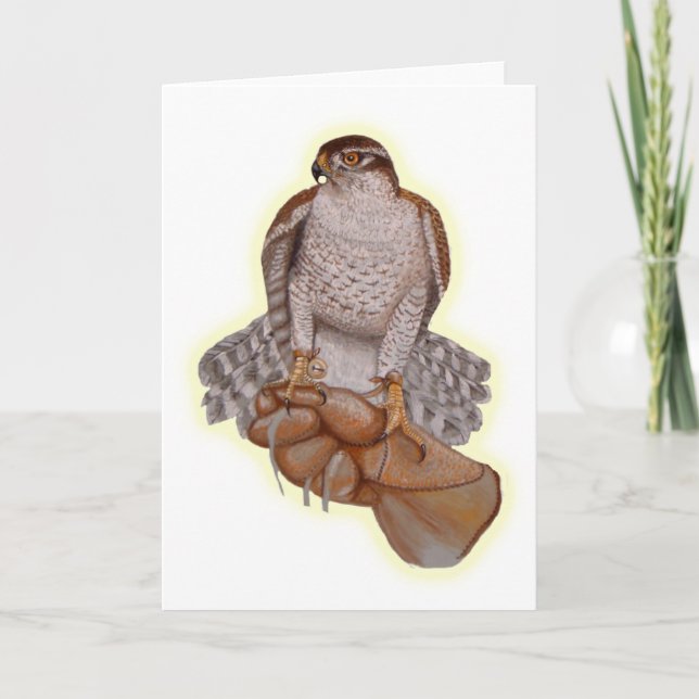 Goshawk Greeting Card. Card (Front)