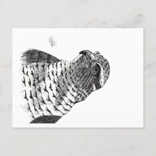 GOSHAWK HOLIDAY POSTCARD