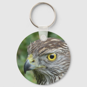 goshawk keychain