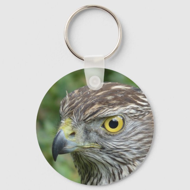 goshawk keychain (Front)