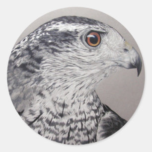 Goshawk Stickers