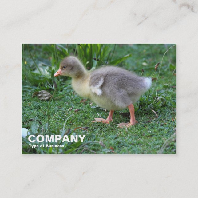 Gosling 02 business card (Front)