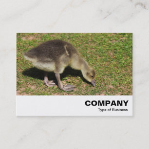Gosling Business Card