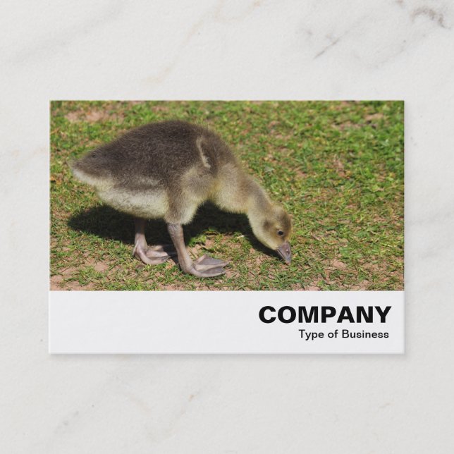 Gosling Business Card (Front)