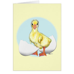 Gosling: Just Hatched