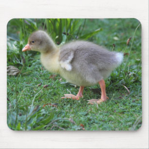 Gosling Mouse Pad