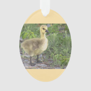 Gosling Photo Ornament