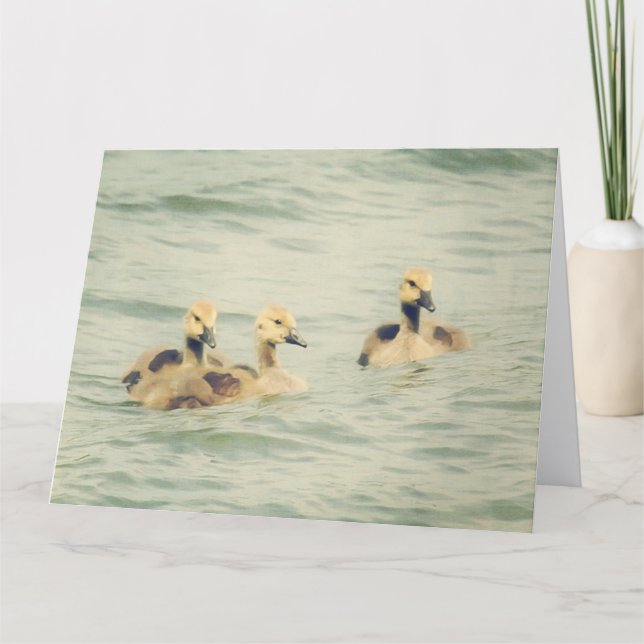 Goslings Baby Geese Big Note Card (Front)