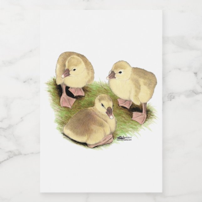 Goslings:  Buff African Food Label (Single Label)