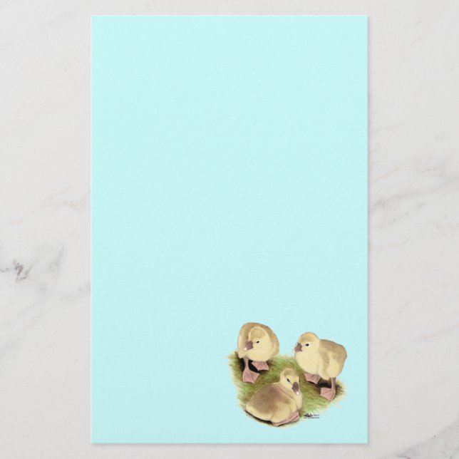 Goslings:  Buff African Stationery (Front)