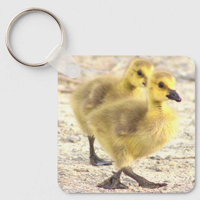 Goslings Photo Keychain (Front)