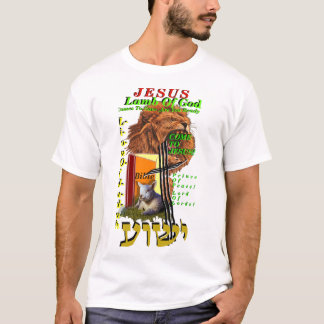 Gospel T-Shirt, T-Shirt with Gospel Image, 
