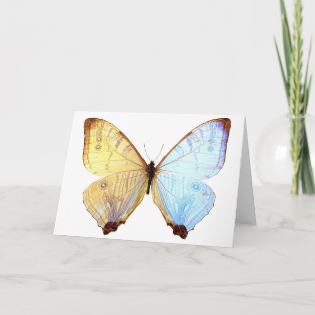 Gossamer Blue Butterfly Wings Note Carte d'anniver (Devant)