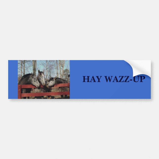 Gossip Corner, HAY WAZZ-UP Bumper Sticker (Front)
