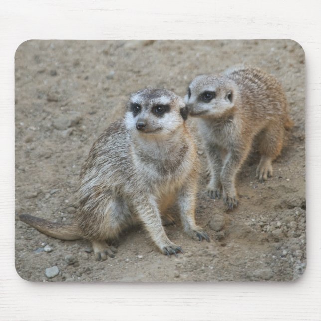 Gossip Mousepad (Front)