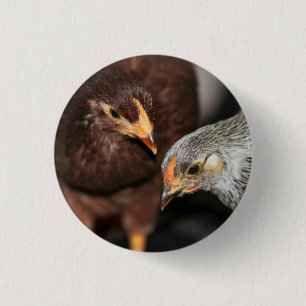 Gossip time 1 inch round button