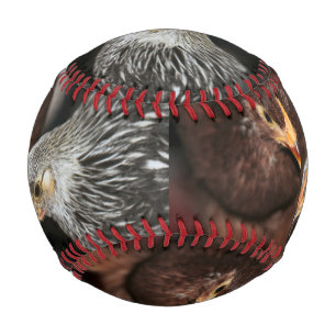 Gossip time baseball
