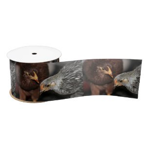 Gossip time satin ribbon