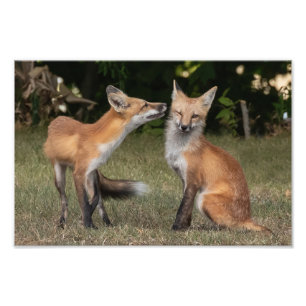 Got A Mint? Photo Print