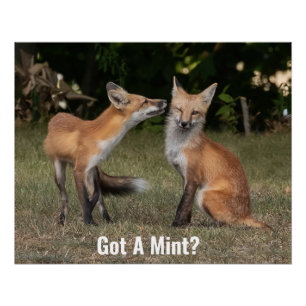 Got A Mint? Poster
