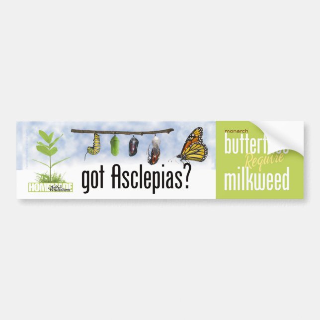Got Asclepias (Milkweed)? Bumper Sticker (Front)