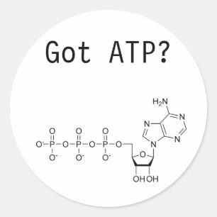 Got ATP? Classic Round Sticker