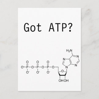 Got ATP? Postcard