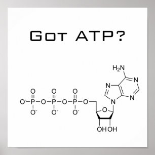 Got ATP? Poster