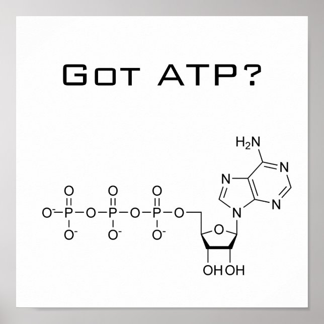 Got ATP? Poster (Front)