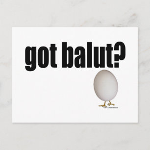 Got Balut? Postcard