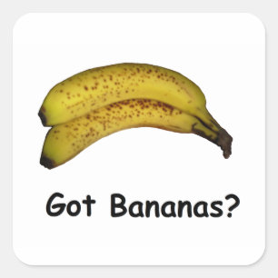Got Bananas Square Sticker