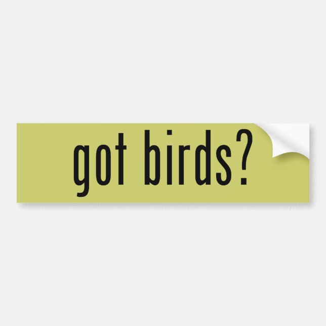 got birds? bumper sticker (Front)