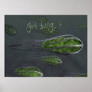 Got Bugs? Poster