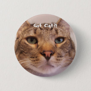 Got Cat 2 Inch Round Button
