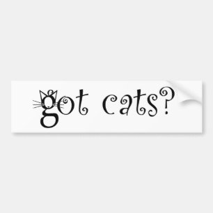 Got Cats Bumper Sticker