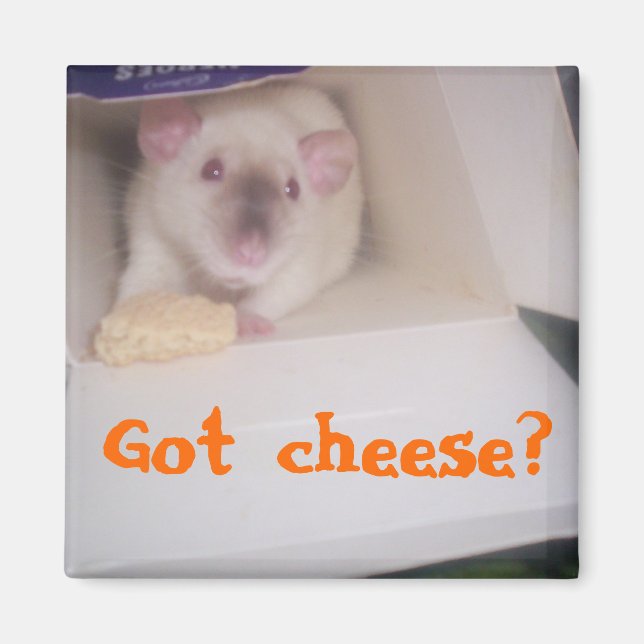 Got cheese? magnet (Front)