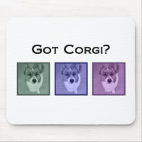 Got Corgi? Funny Corgis Art Photograph