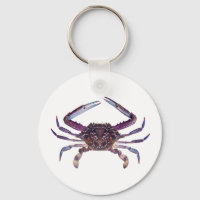 Got Crabs? nice sea crab-dinner time