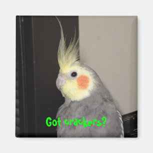 Got crackers? magnet