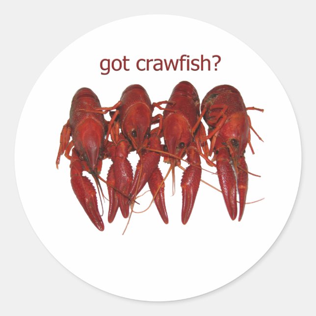 got crawfish? logo classic round sticker (Front)